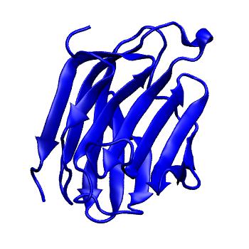 Structure preview of MoDEL 1LCL