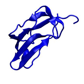 Structure preview of MoDEL 1LAC