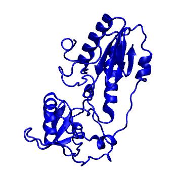 Structure preview of MoDEL 1MML