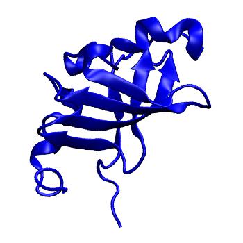 Structure preview of MoDEL 1N91