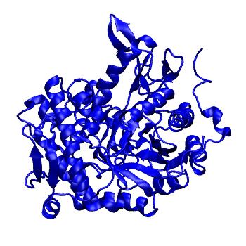 Structure preview of mdCATH 3wdpP00