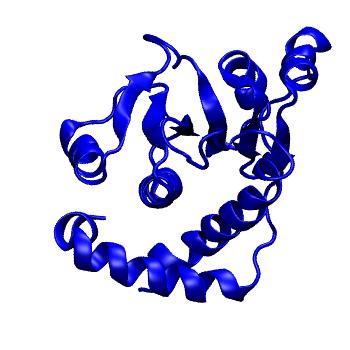 Structure preview of mdCATH 3wicA02