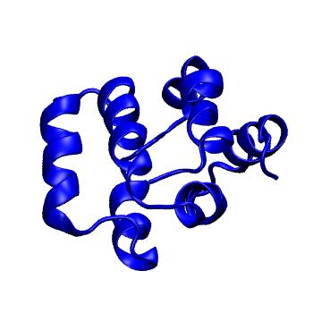 Structure preview of mdCATH 3ygsP00