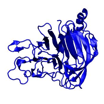 Structure preview of mdCATH 4amwA01