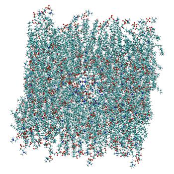 Structure preview of Horizontal SoD COM-unrestrained +100 mV with prosECCo75 applied to all charged residues - replica 3