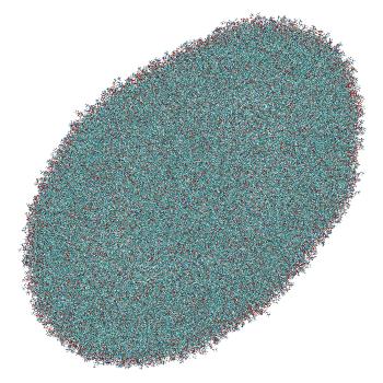 Structure preview of All-atom siRNA-LNP fused with endosomal membrane, 50% of MC3 deprotonated