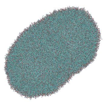 Structure preview of Umbrella sampling window 1.4 of siRNA translocation through the LNP-endosome stalk