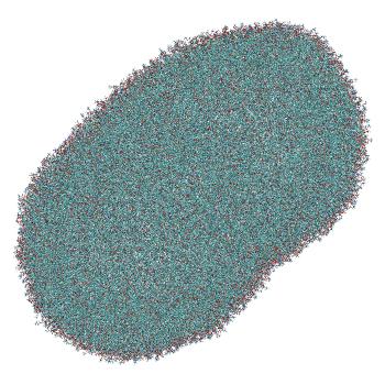 Structure preview of Umbrella sampling window 10.4 of siRNA translocation through the LNP-endosome stalk