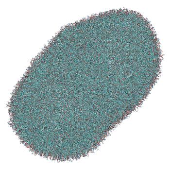 Structure preview of Umbrella sampling window 2.9 of siRNA translocation through the LNP-endosome stalk