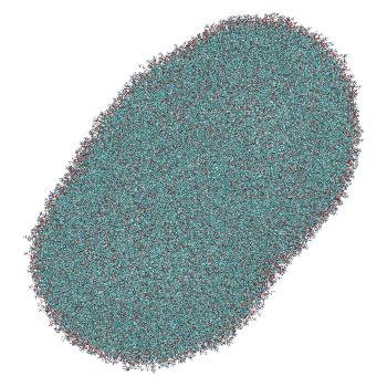 Structure preview of Umbrella sampling window 5.4 of siRNA translocation through the LNP-endosome stalk