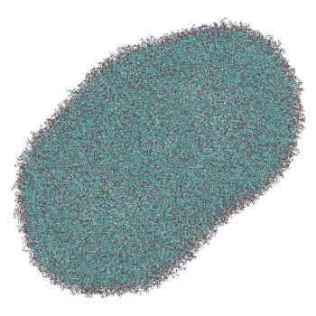 Structure preview of Umbrella sampling window 6.4 of siRNA translocation through the LNP-endosome stalk