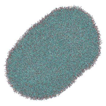 Structure preview of LNP-endosome siRNA translocation: umbrella sampling window 7.4 nm (fixed protonation)