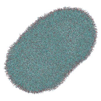 Structure preview of LNP-endosome siRNA translocation: umbrella sampling window 8.4 nm (fixed protonation)