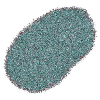 Structure preview of LNP-endosome siRNA translocation: umbrella sampling window 8.9 nm (fixed protonation)