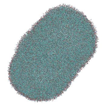 Structure preview of LNP-endosome siRNA translocation: umbrella sampling with constant-pH MD, window 0.8 nm
