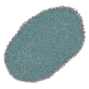 Structure preview of LNP-endosome siRNA translocation: umbrella sampling with constant-pH MD, window 1.3 nm