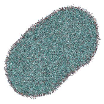 Structure preview of LNP-endosome siRNA translocation: umbrella sampling with constant-pH MD, window 1.7 nm