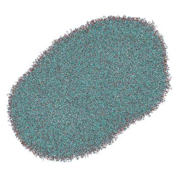 Structure preview of LNP-endosome siRNA translocation: umbrella sampling with constant-pH MD, window 1.8 nm