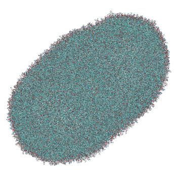 Structure preview of LNP-endosome siRNA translocation: umbrella sampling with constant-pH MD, window 3.7