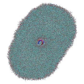 Structure preview of LNP-endosome siRNA translocation: umbrella sampling with constant-pH MD, window 4.1