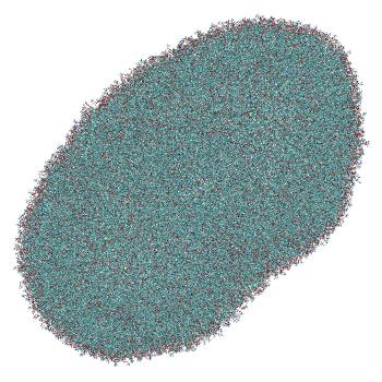 Structure preview of LNP-endosome siRNA translocation: umbrella sampling with constant-pH MD, window 5.2