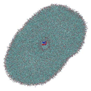 Structure preview of LNP-endosome siRNA translocation: umbrella sampling with constant-pH MD, window 5.6