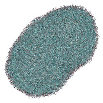 Structure preview of LNP-endosome siRNA translocation: umbrella sampling with constant-pH MD, window 8.2