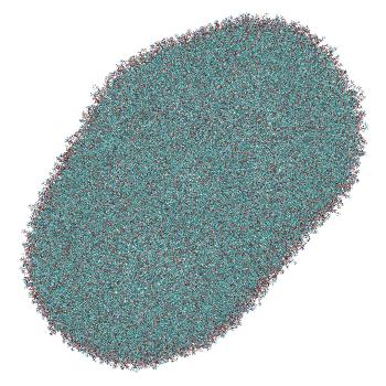 Structure preview of LNP-endosome siRNA translocation: umbrella sampling with constant-pH MD, window 9.2