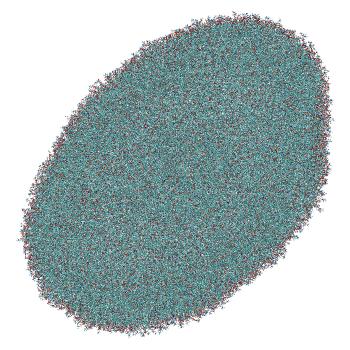 Structure preview of LNP-endosome stalk system: unbiased MD with 50% deprotonated MC3
