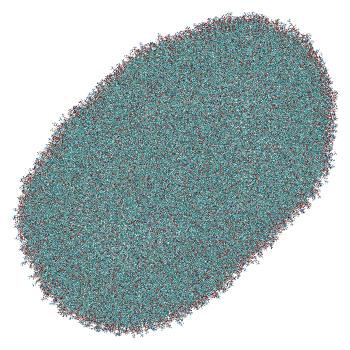 Structure preview of LNP-endosome stalk system: unbiased MD with all MC3 protonated and reoriented siRNA