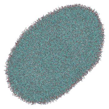 Structure preview of All-atom siRNA-LNP fused with endosomal membrane, 50% of MC3 deprotonated