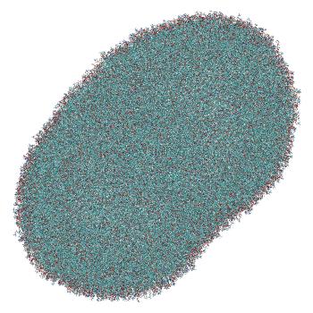 Structure preview of Umbrella sampling window 0.4 of siRNA translocation through the LNP-endosome stalk